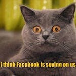 ¿Facebook espía? gato-facebook