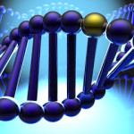 ¿Cuántos genes tiene el ser humano? genes